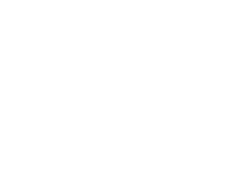 perfect-logo